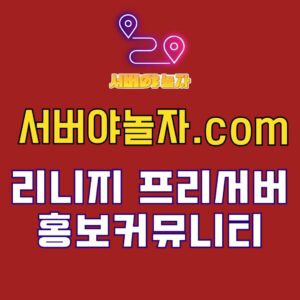 서버야놀자